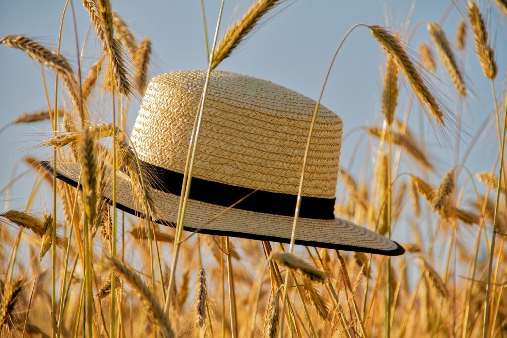 Straw hat in the wheat field